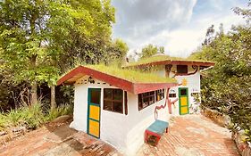 Jardín Colibrí